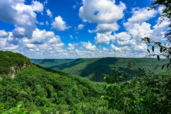 The Smoke House Lodge Monteagle Exterior foto